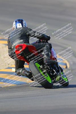 media/Nov-12-2023-SoCal Trackdays (Sun) [[5d1fba4e7d]]/Turn 10 Backside (115pm)/